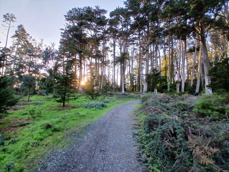 Presidio Park Trail (San Francisco)