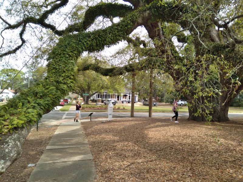 Thomasville Plantation Country