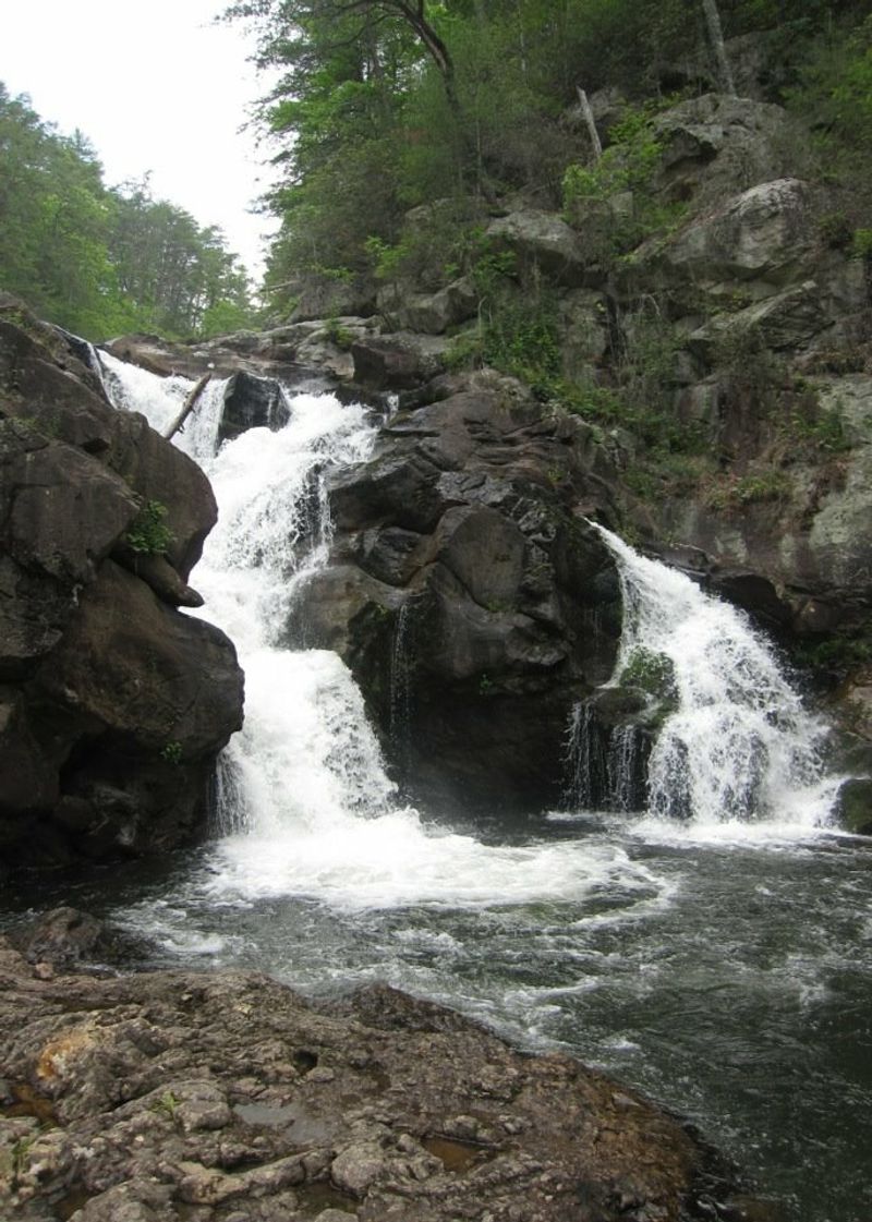 Cohutta Wilderness Jacks River Falls Area