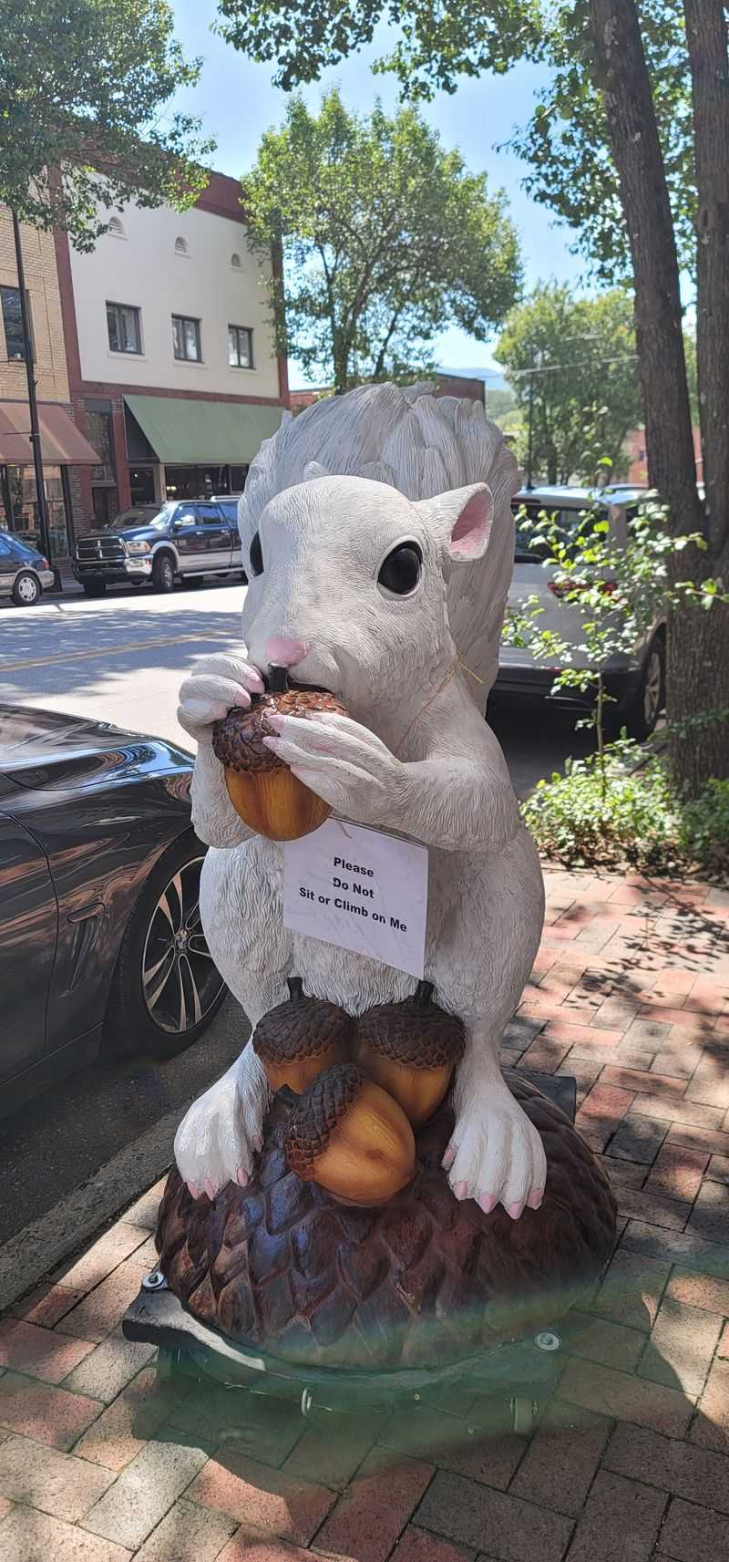 White Squirrel Population