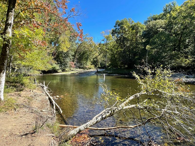 13 Rookie Mistakes To Dodge In North Carolina's Smokies - Decor Hint Moving Rocks And Disturbing Stream Habitats