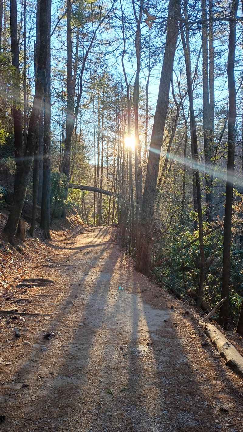 Dukes Creek Falls Trail