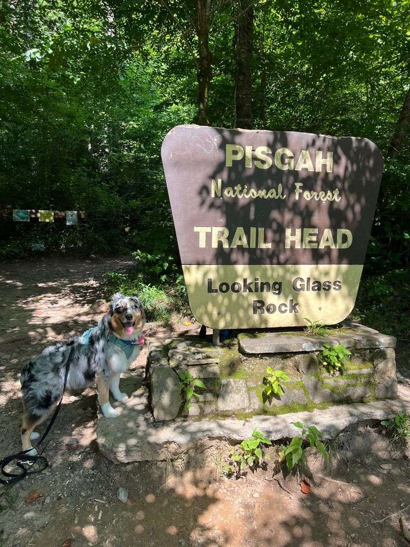 Looking Glass Rock Trail