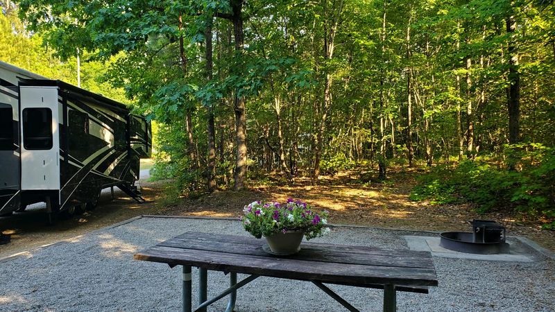 Camping Under Stars That Actually Shine