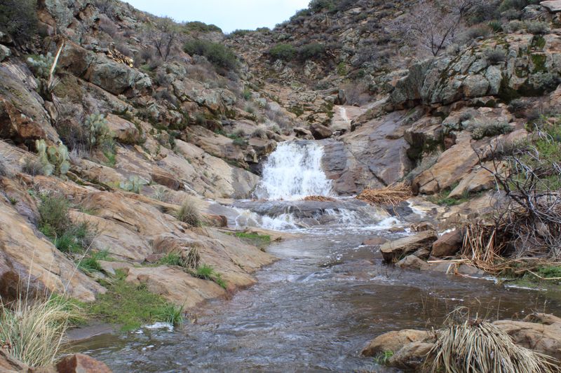 Cottonwood Creek Falls (San Diego County)