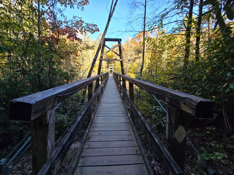 Cooper Creek Scenic Area Sites