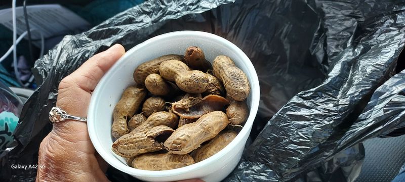 Boiled Peanuts