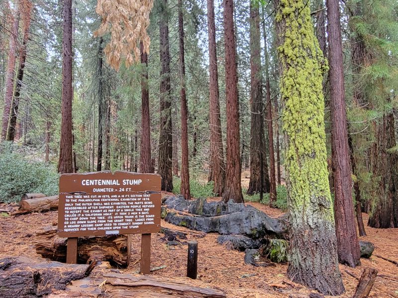 Safety, Permits & Park Passes