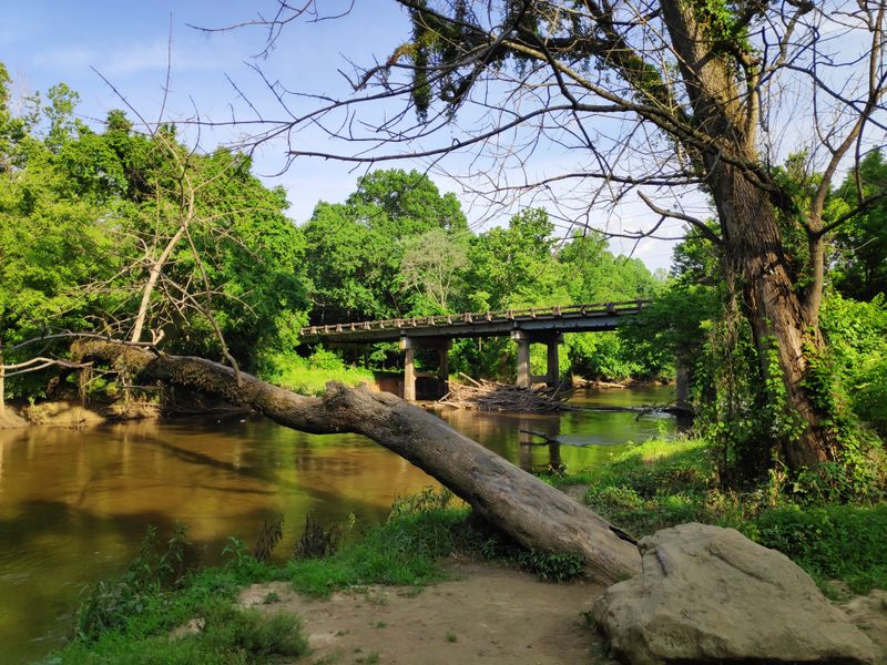 These North Carolina Spots Offer Bucket-List Views Anyone Can Hike To - Decor Hint Neuse River Trail, Raleigh to Clayton