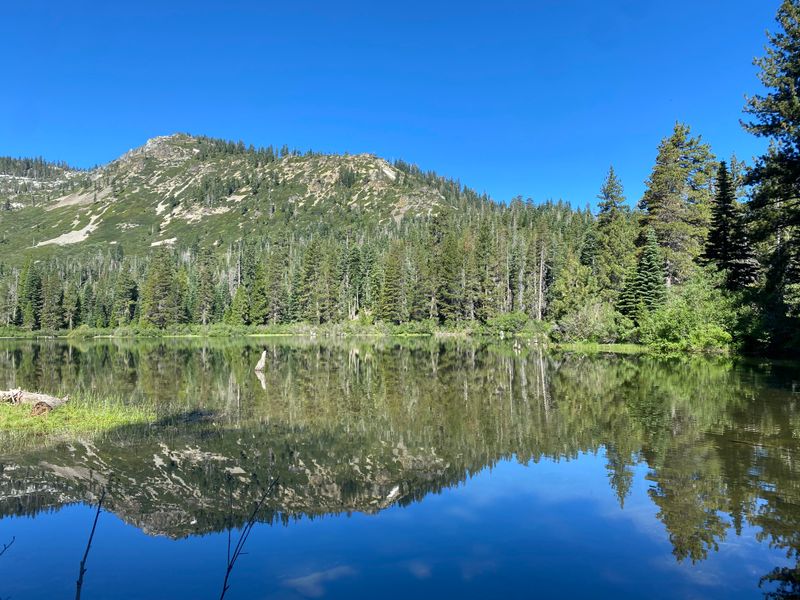 Diverse Ecosystems Support Varied Wildlife