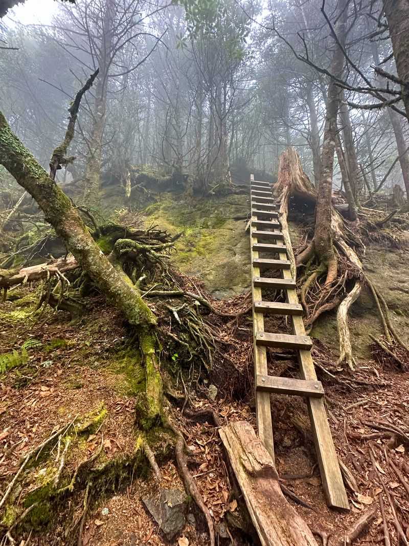 Grandfather Trail To Calloway Peak