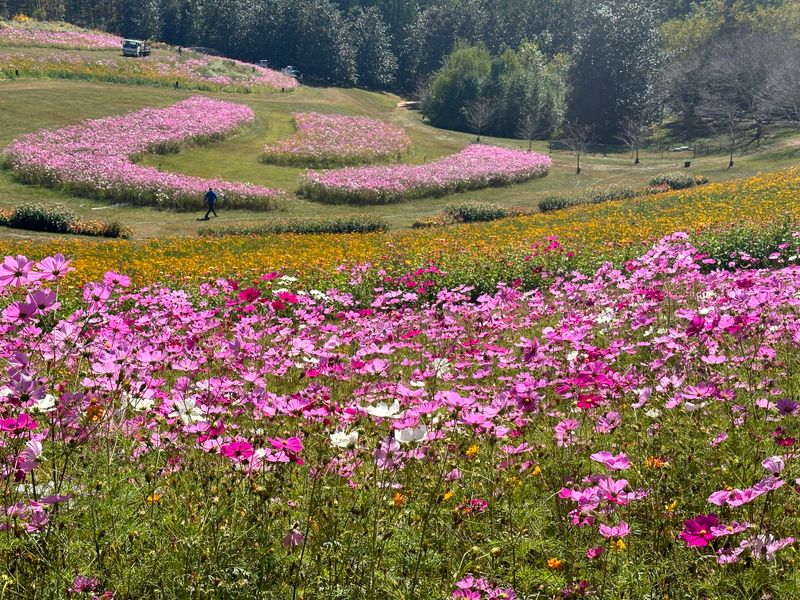 April: Gibbs Gardens