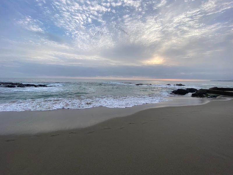 Dog Regulations Balance Pet Access And Beach Use