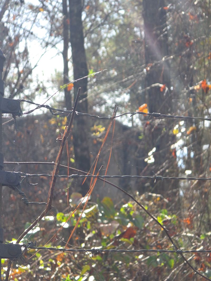 Abandoned Buildings Still Stand on the Property
