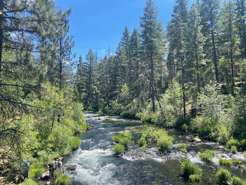 Burney Creek Upper Cascades