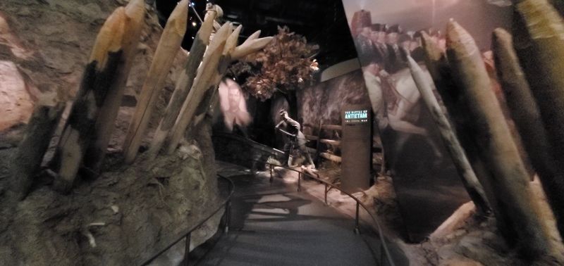 Fanning 3D Orientation Film