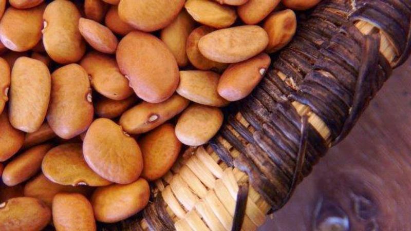 12 Once-Beloved Arizona Foods Locals Say Are Nearly Impossible To Find Now - Decor Hint Tepary Beans