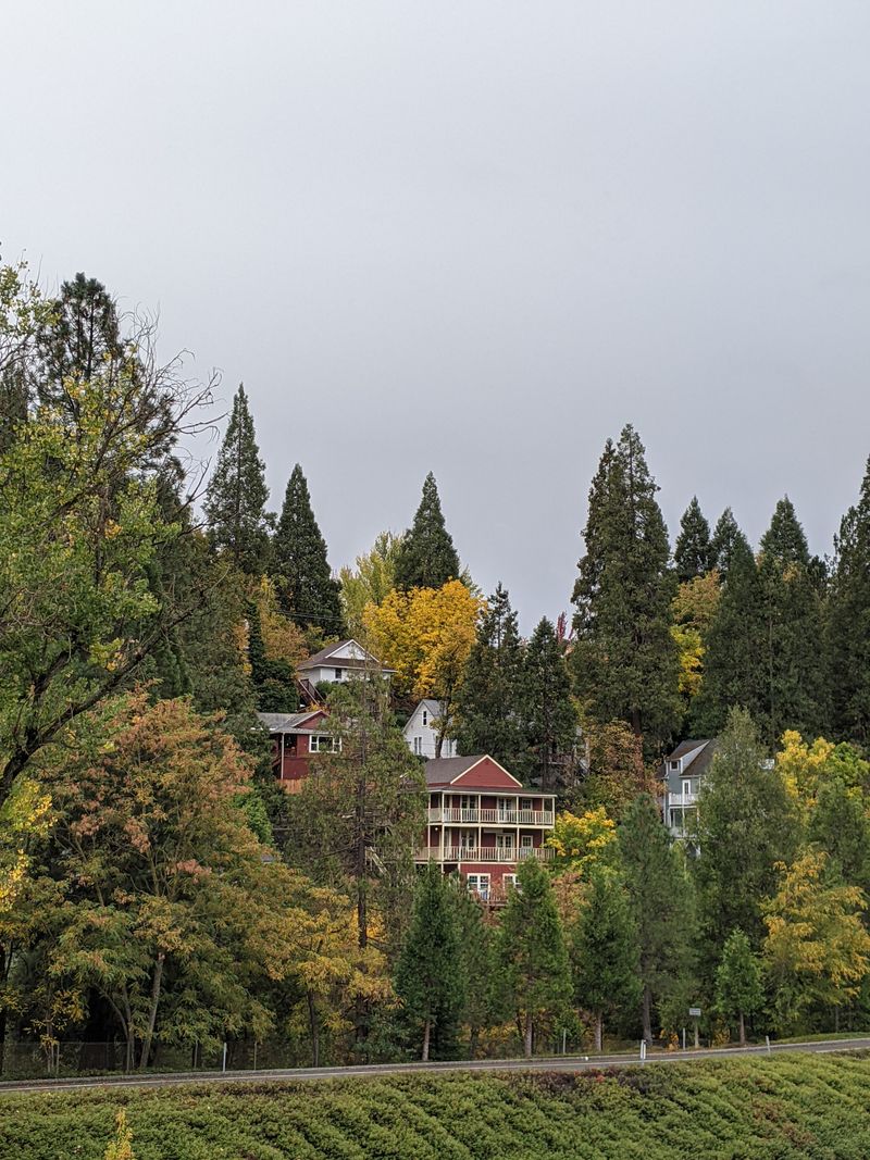 This California City Blends Gold Rush History With Some Of The State's Most Fun Tourist Attractions - Decor Hint Victorian Architecture Lines Every Street