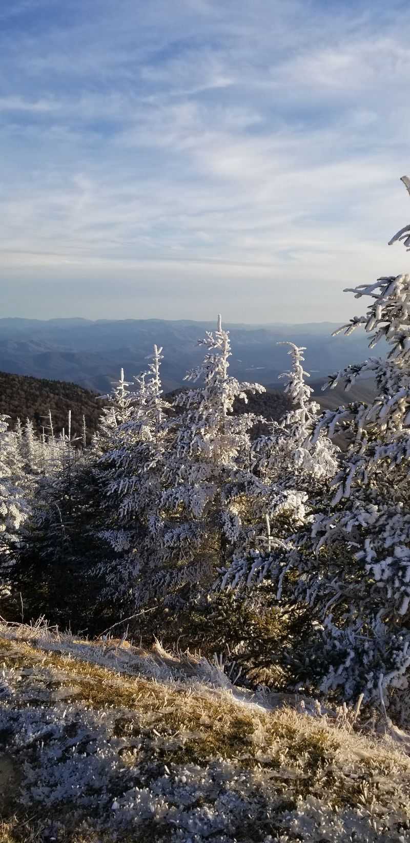 Andrews Bald Mountain Views