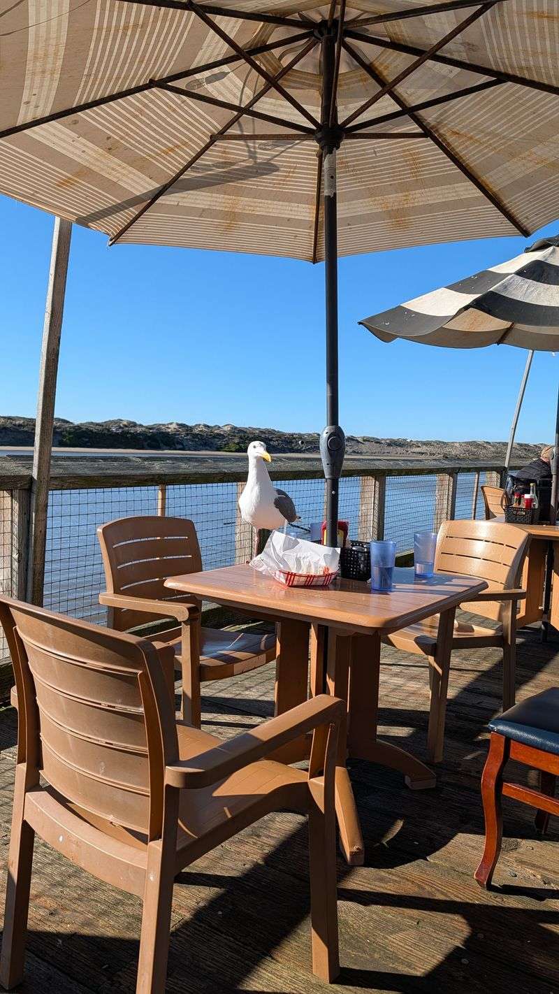 16 California Coastal Seafood Spots Perfect For A Laid-Back Day Trip - Decor Hint Sea Harvest