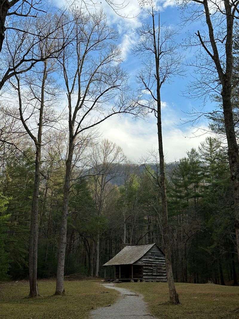 A Richer Sense Of History And Culture