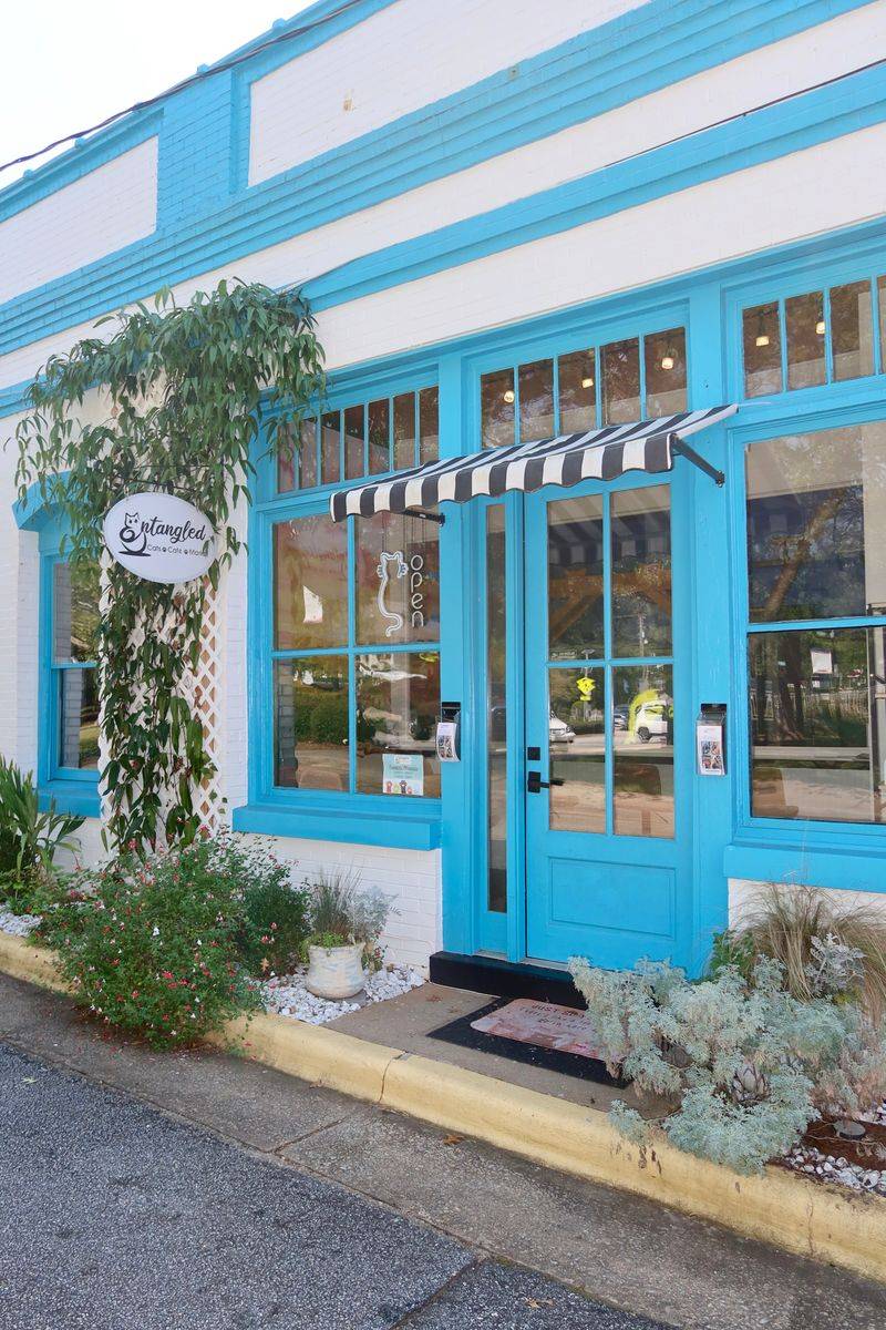 Entangled Cat Cafe - Watkinsville's Community Cat Café