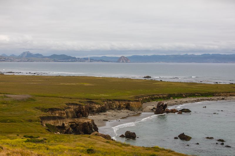 Estero Bluffs State Park