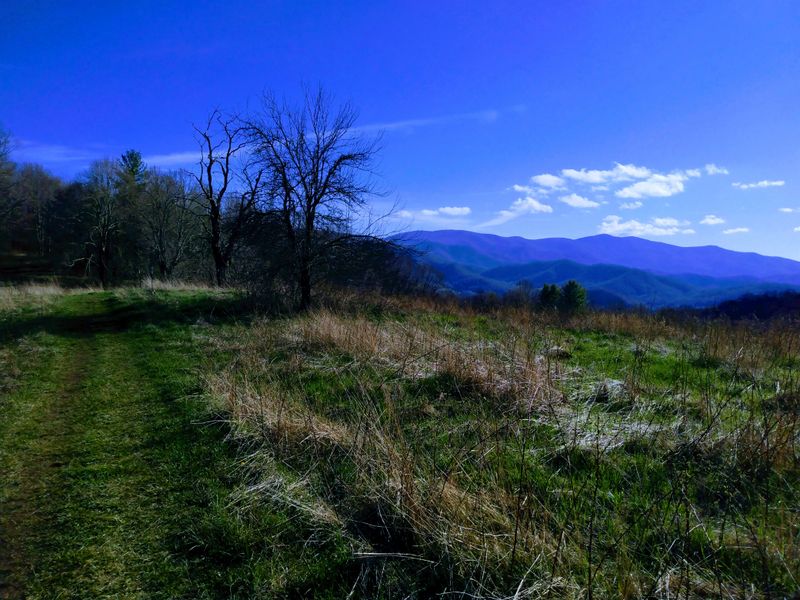 Roan Mountain Section Of The Appalachian Trail