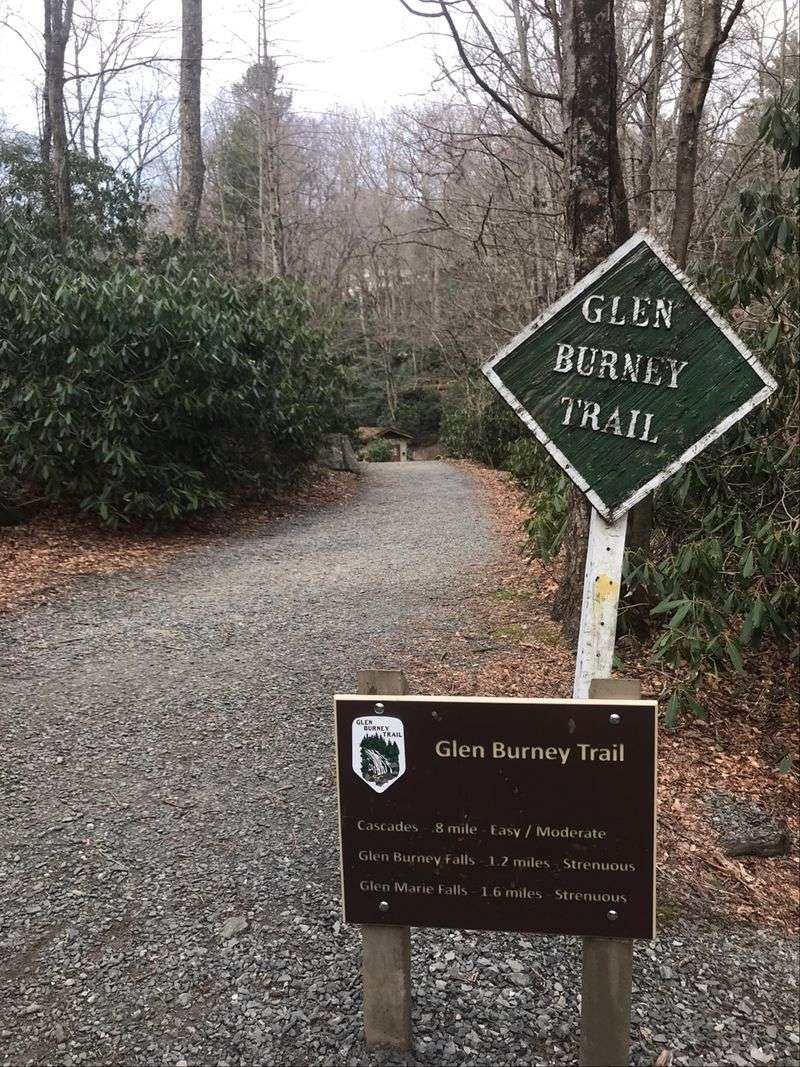North Carolina's Most Scenic Hikes You Can Finish In A Day - Decor Hint Glen Burney Trail