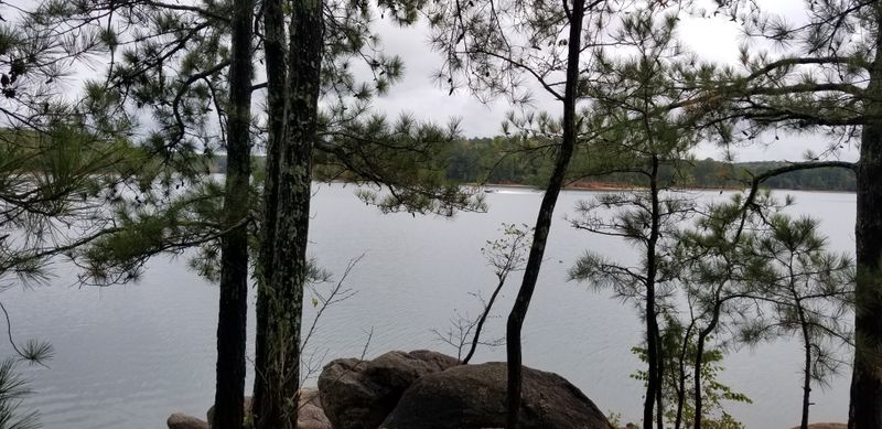 Wildlife Watching Year-Round