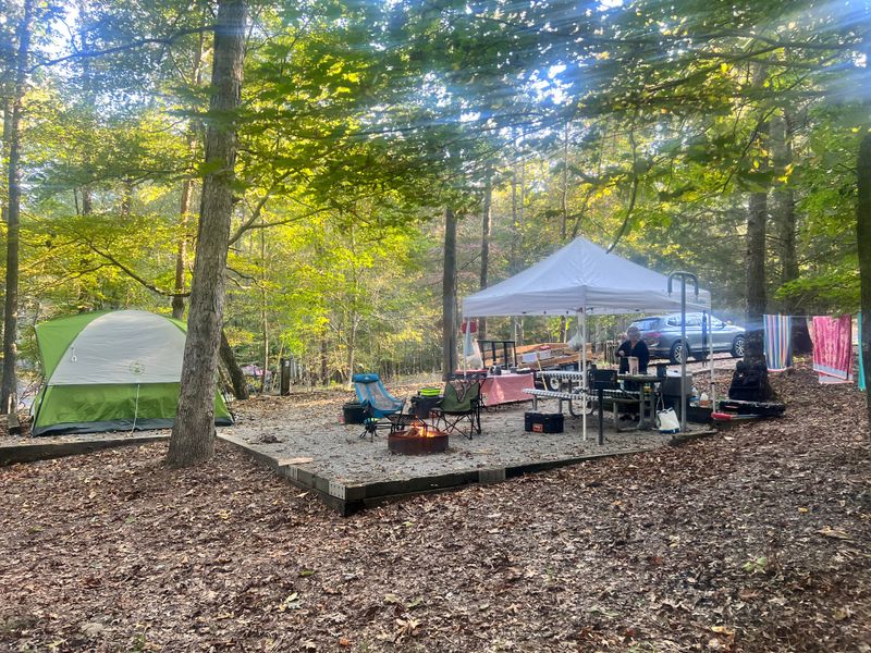 Butterfly And Pollinator Gardens