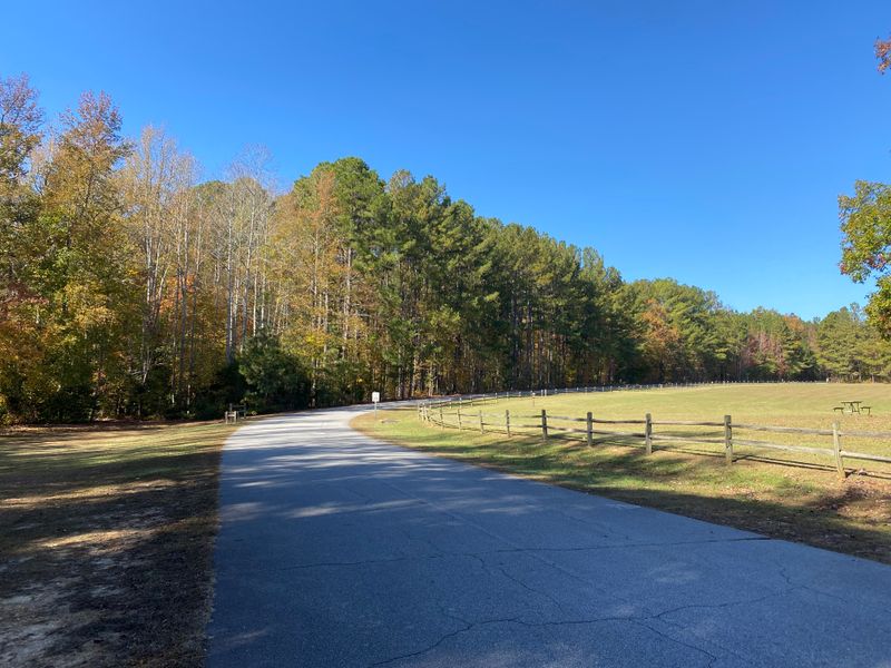 Horseback Riding Through Rolling Countryside