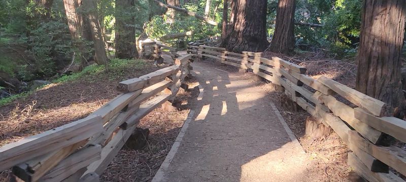This Underrated California Park Feels Like A Mini National Park With Towering Ancient Redwoods - Decor Hint Wheelchair-Accessible Trails