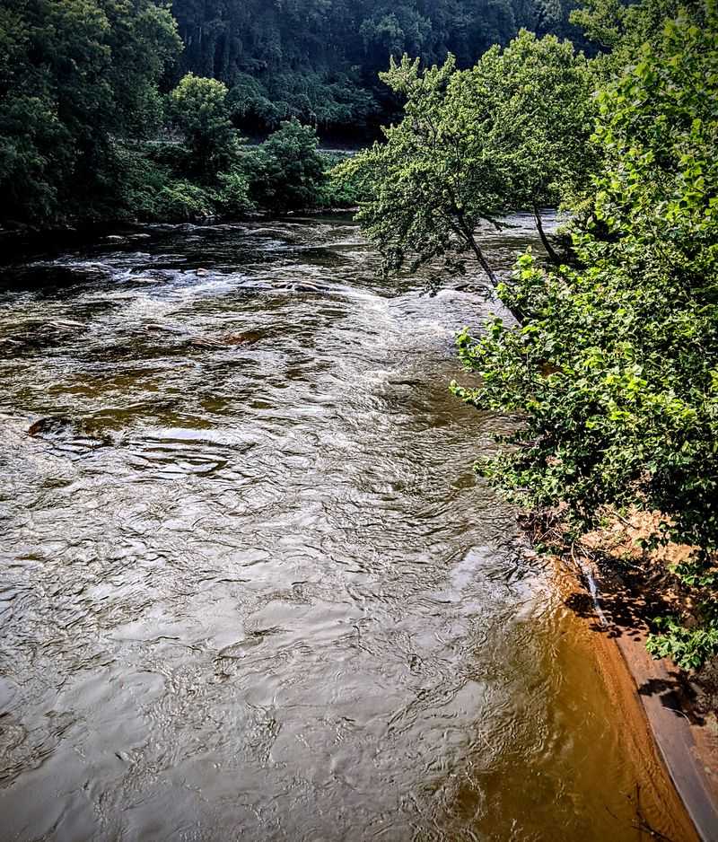 A Scenic Train Journey You'll Never Forget In The Smokies, North Carolina - Decor Hint Tuckasegee River Route Charm