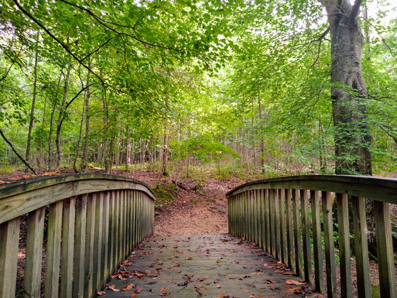 Mountain Biking Routes