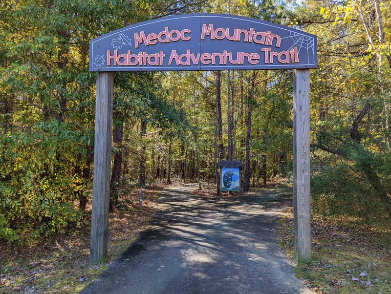 Mountain Biking That Gets Your Heart Racing