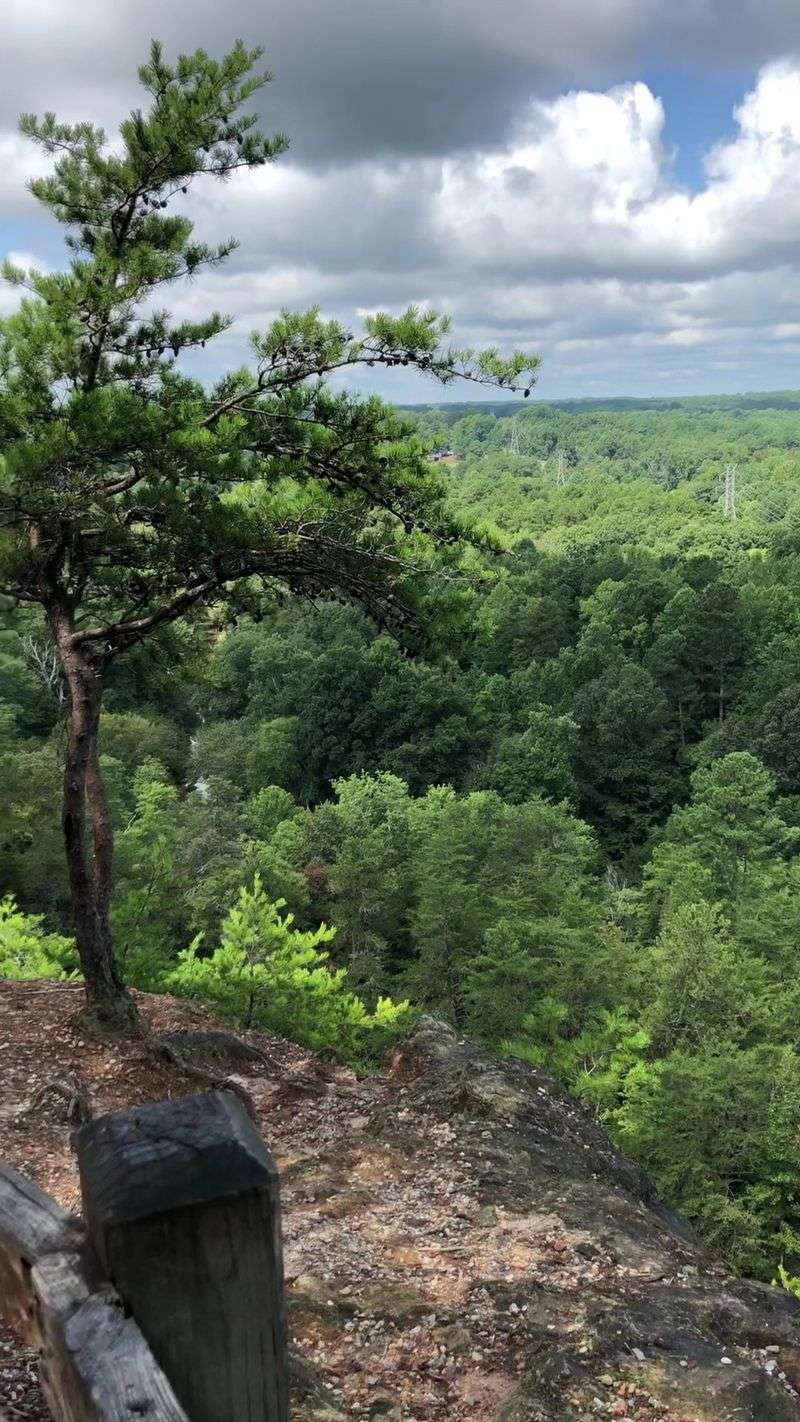 These North Carolina Spots Offer Bucket-List Views Anyone Can Hike To - Decor Hint Occoneechee Mountain Loop Trail, Hillsborough