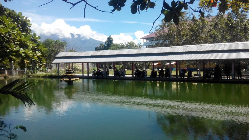 Hawaii Fish Fry Traditions That Locals Love - Decor Hint Aku Palu Palu And Pan-Fried Preparations