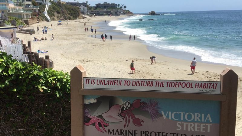 Lifeguard Presence Enhances Summer Safety