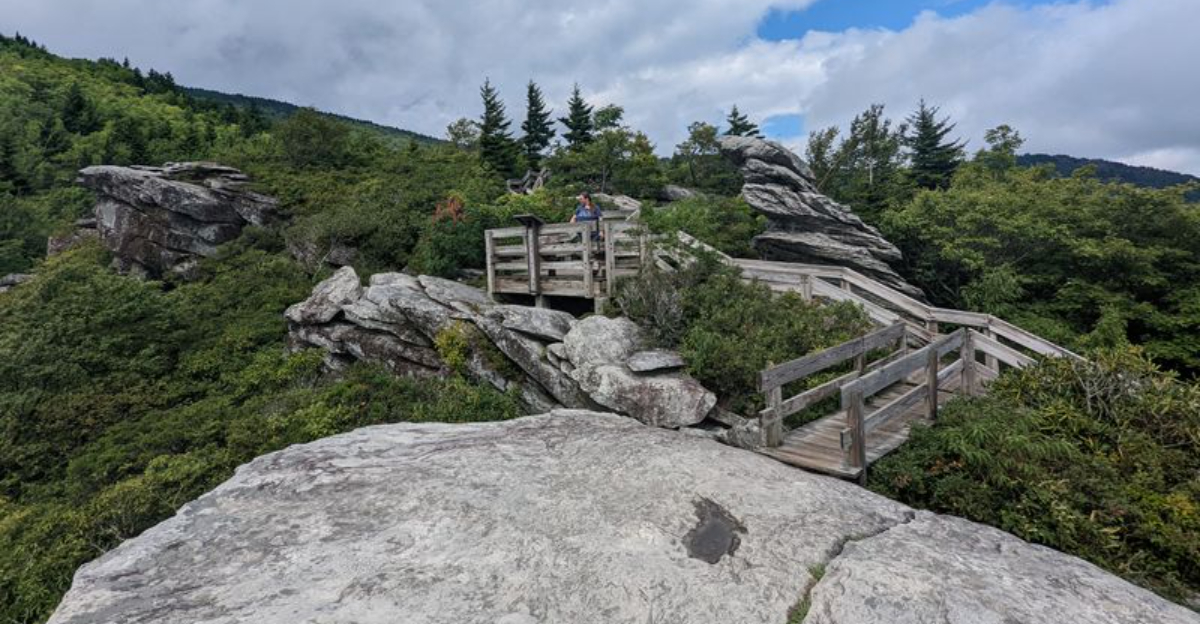 North Carolinas Most Scenic Hikes You Can Finish In A Day - Decor Hint
