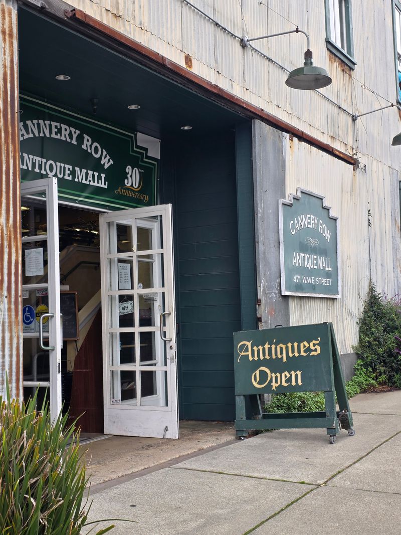 Recognition And Awards Spanning Decades