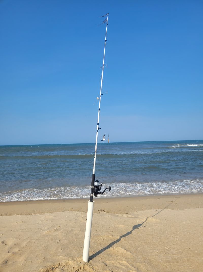 Exceptional Surf Fishing Opportunities