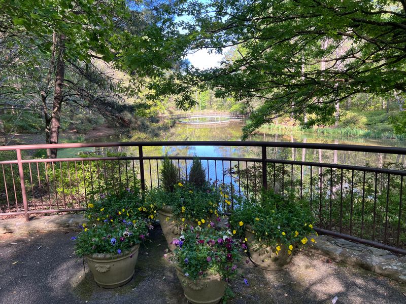 Callaway Gardens Overlook