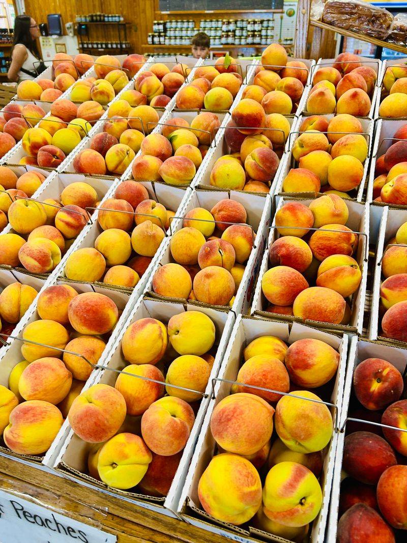 Peach Orchards and Farm Experiences