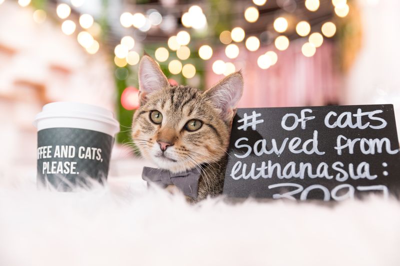 Beverages And Snacks From Open Space Café Theater