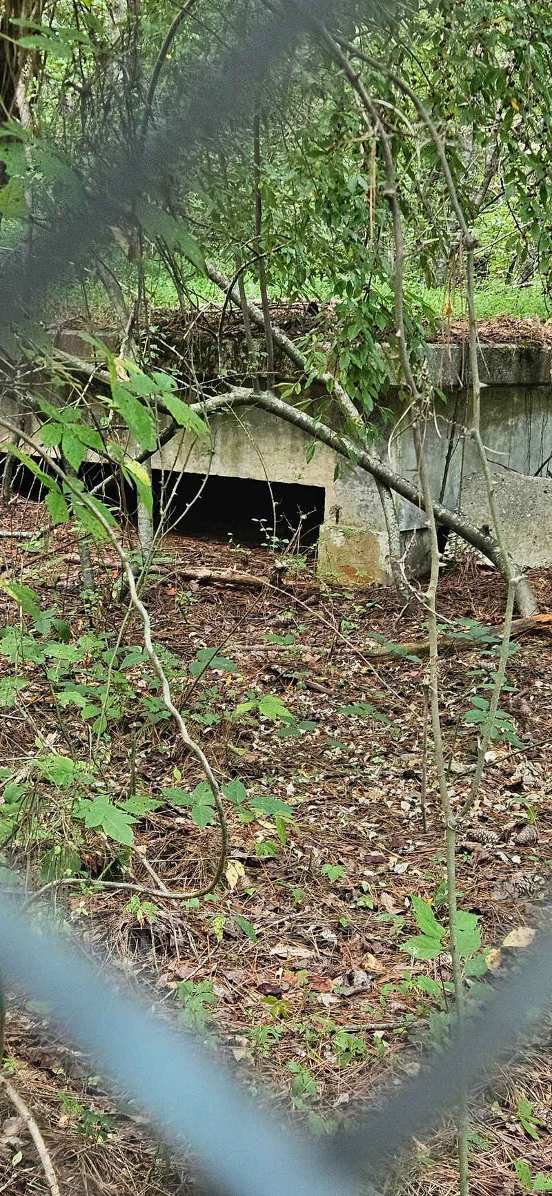 The End of the Cold War Led to Closure