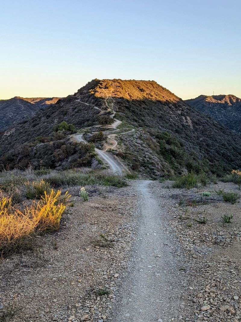 Scenic Drive-In Dinner In The Santa Monica Mountains