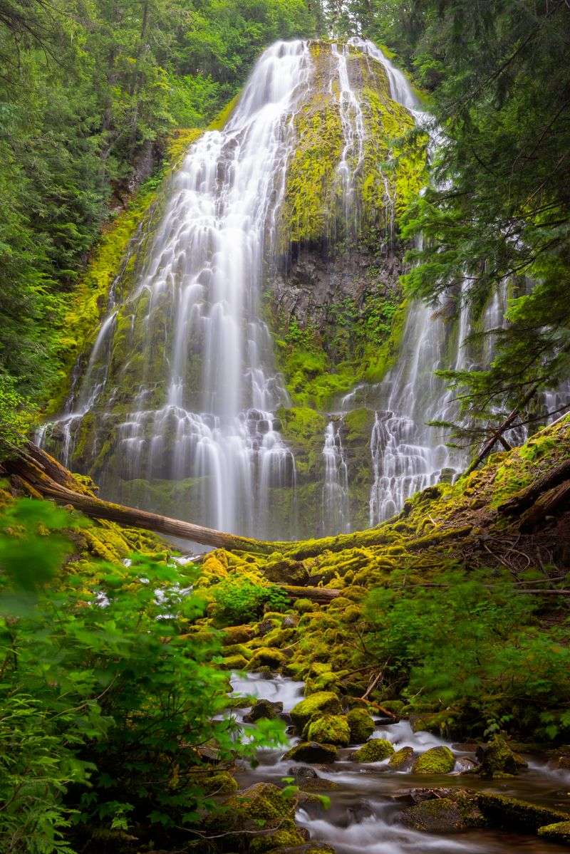 Did Oregon Steal These 10 Landscapes From Another Planet? - Decor Hint Proxy Falls
