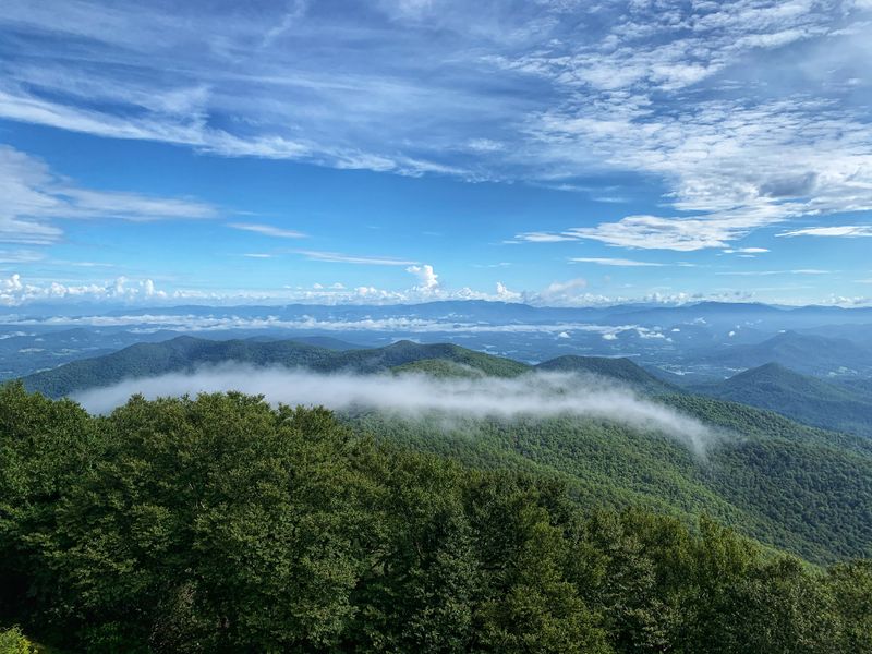 Brasstown Bald Dispersed Camping