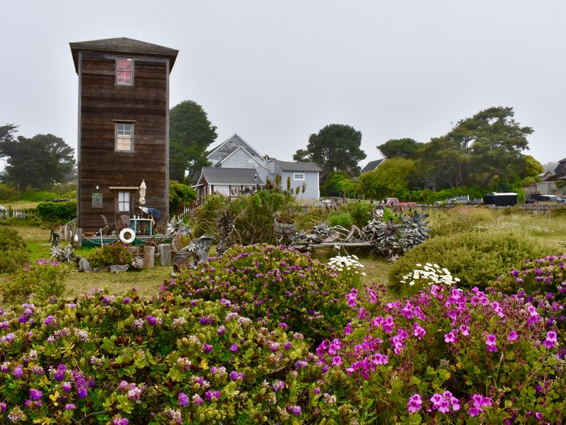 Mendocino Coast Quiet Coastal Retreat